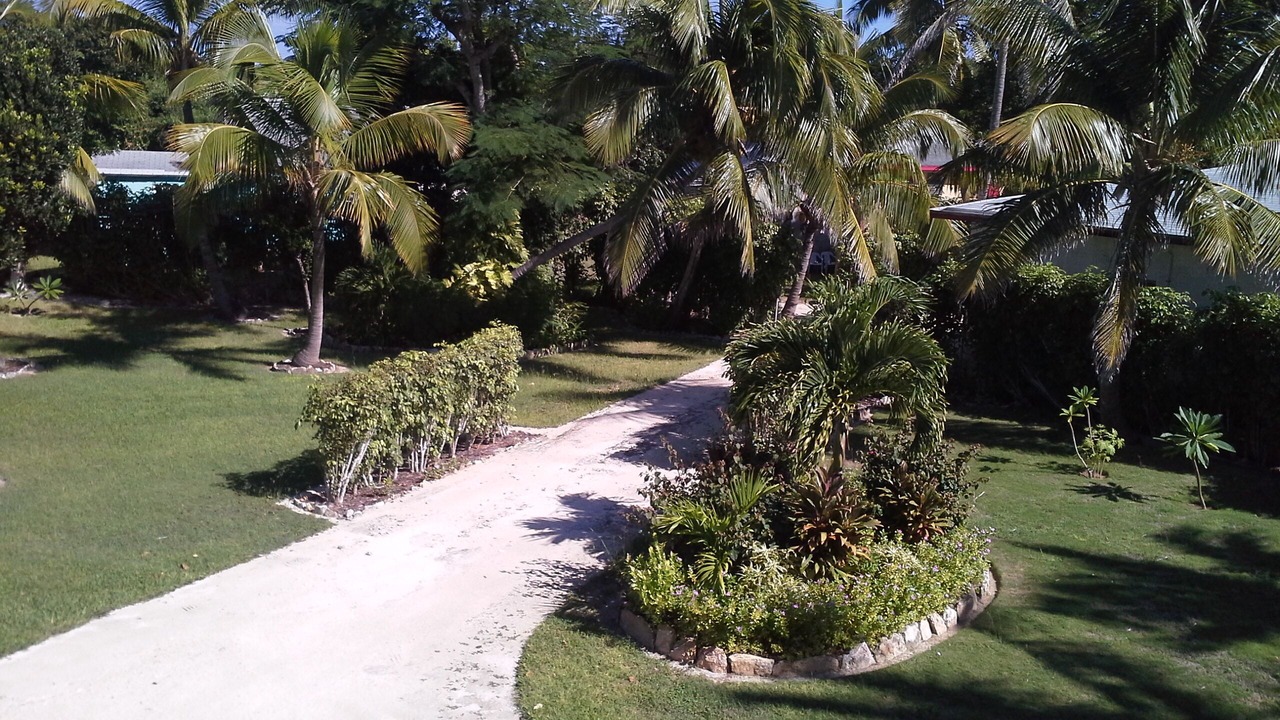 Photo of Outdoor in South Palmetto Point