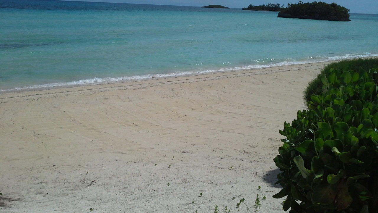 Photo of Others in South Palmetto Point