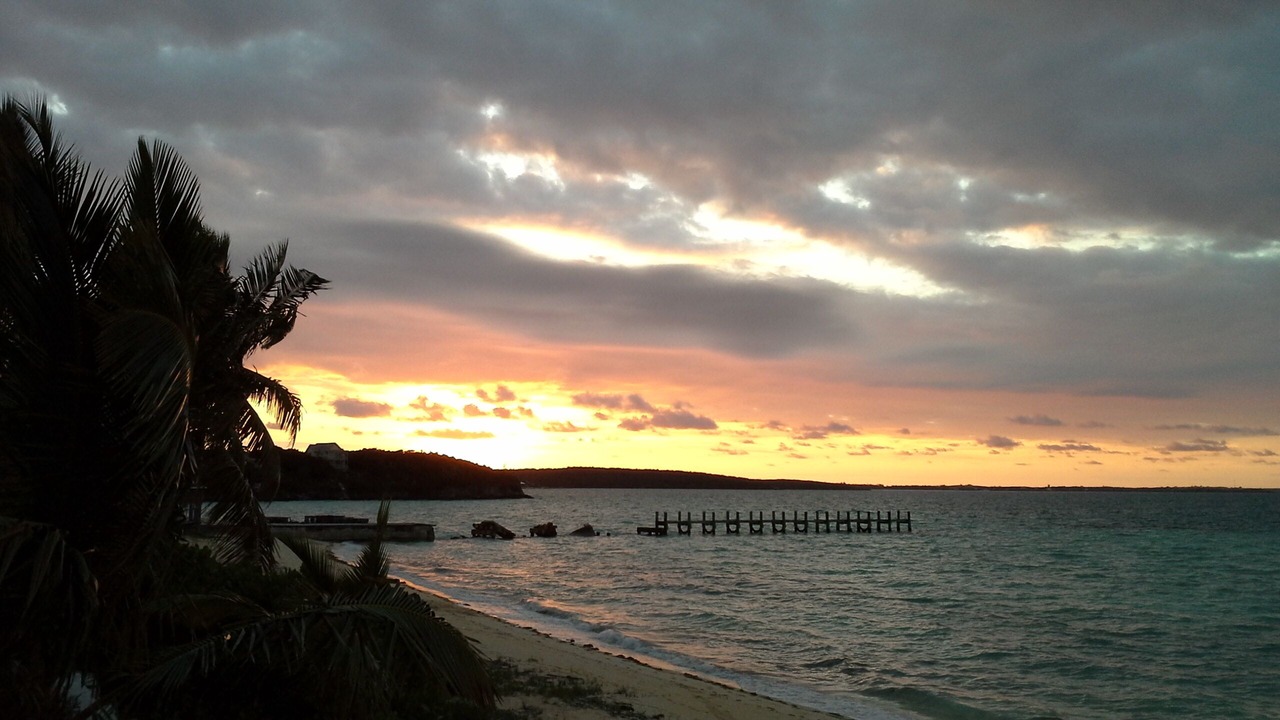 Photo of Others in South Palmetto Point
