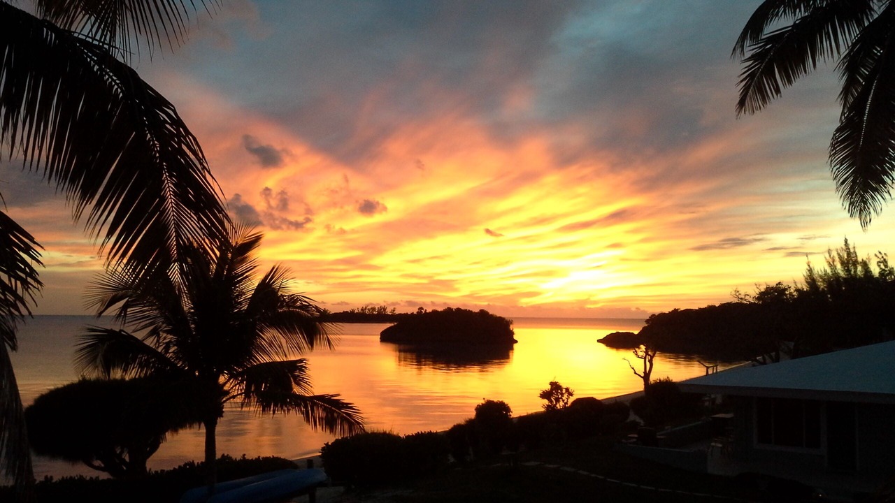 Photo of Others in South Palmetto Point