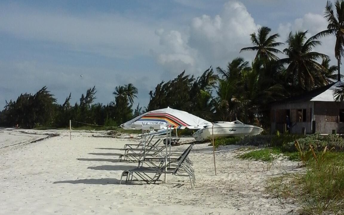 Photo of Others in Rolleville