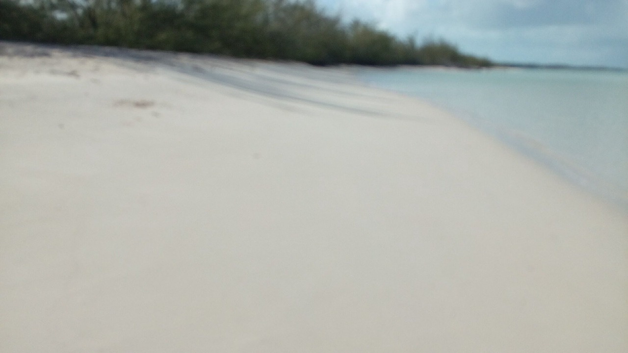 Photo of Others in Rolleville
