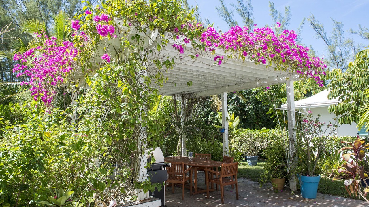 Photo of Outdoor in North Palmetto Point