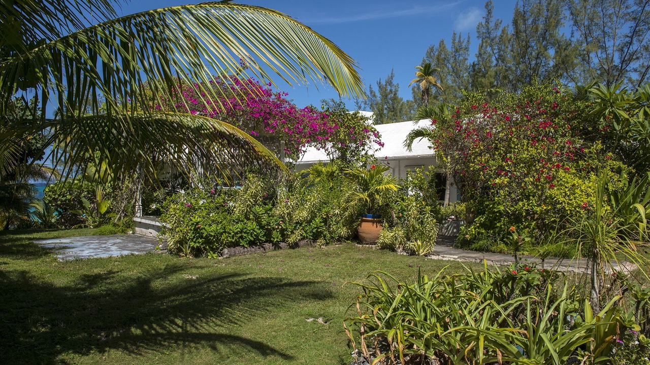Photo of Outdoor in North Palmetto Point