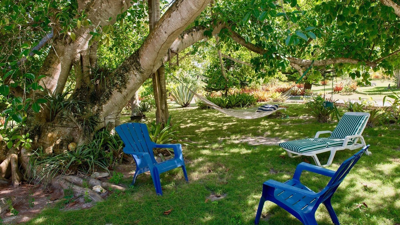 Photo of Outdoor in North Palmetto Point