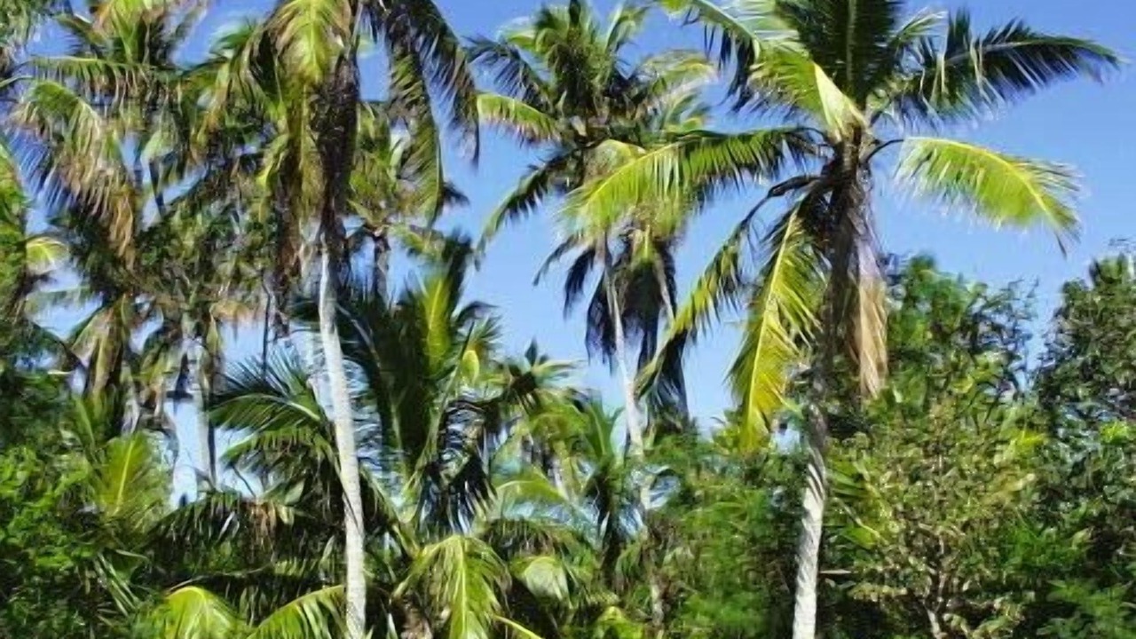 Photo of Others in Governor's Harbour