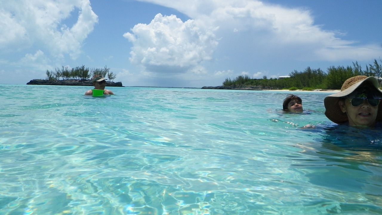 Photo of Others in South Palmetto Point