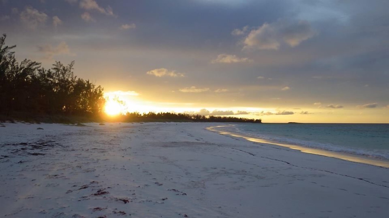 Photo of Others in South Palmetto Point