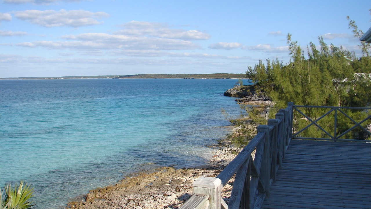 Photo of Others in South Palmetto Point