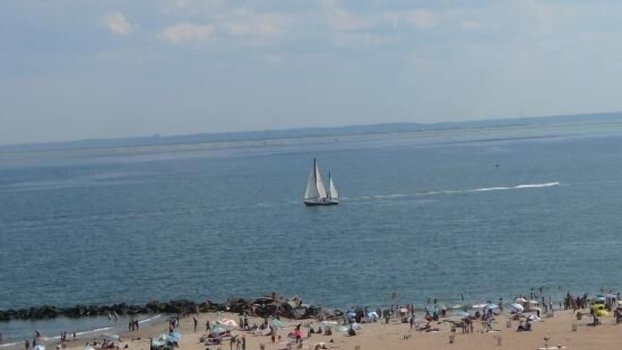 Photo of Others in Brighton Beach