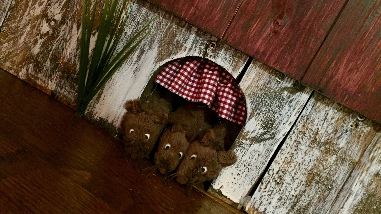 Photo of Outdoor in Borgo Milano