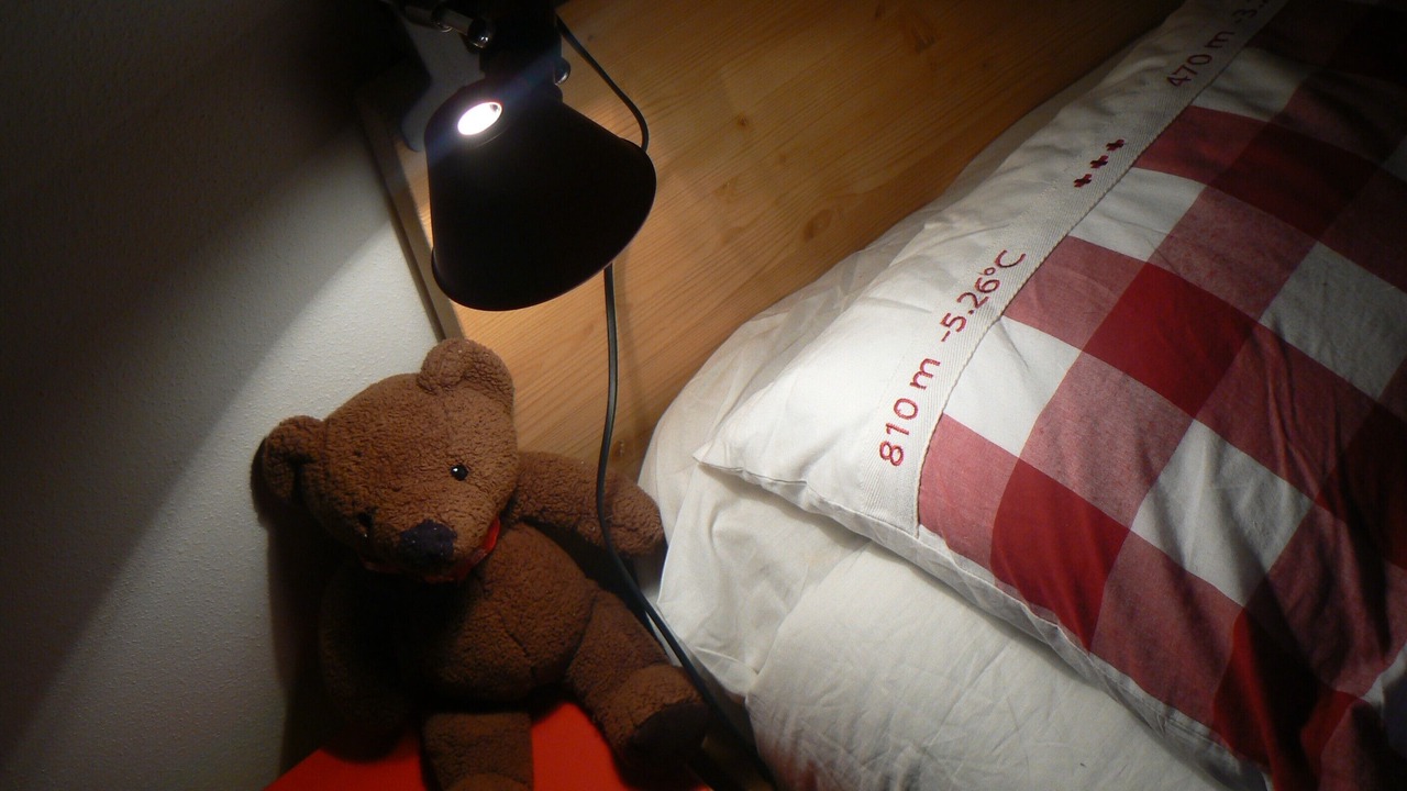 Photo of Bedroom in Borca di Cadore