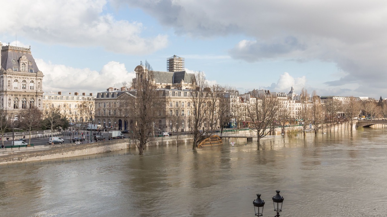 Photo of Others in Notre Dame