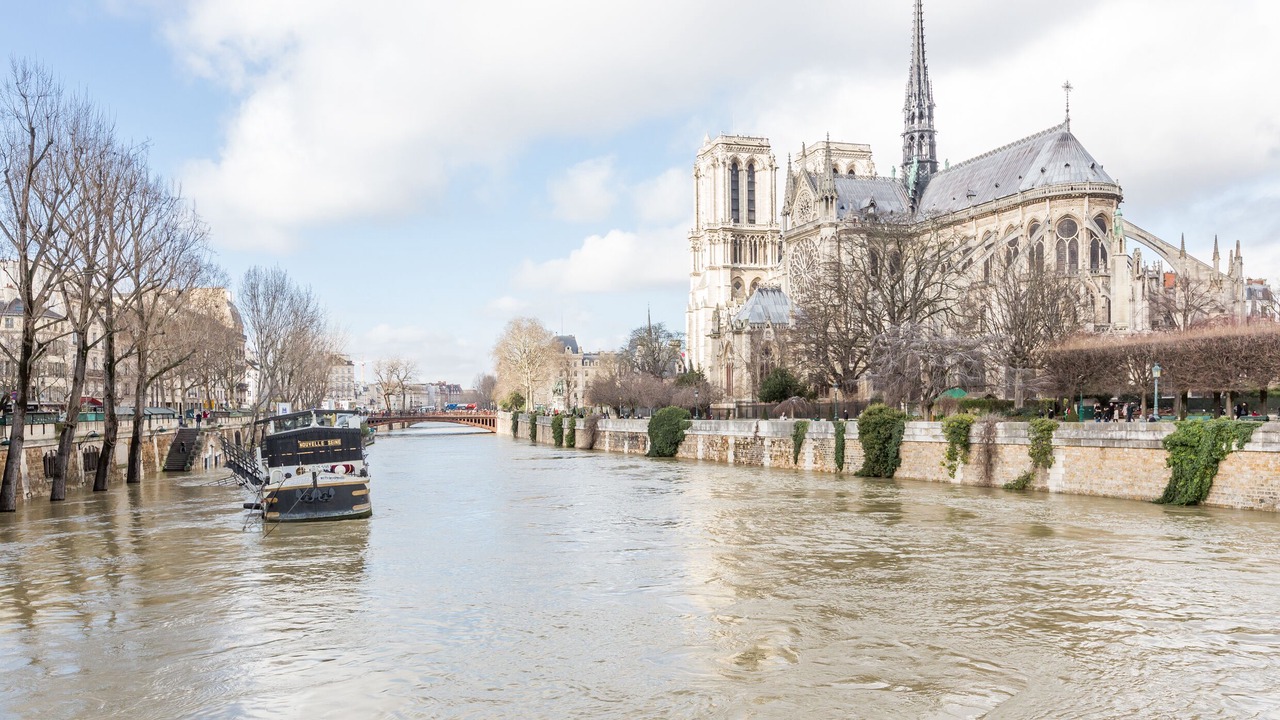 Photo of Others in Notre Dame
