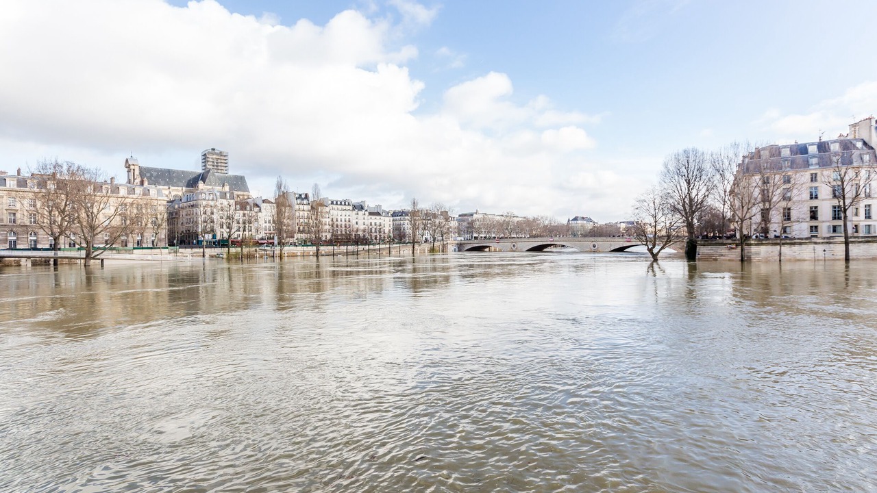 Photo of Others in Notre Dame