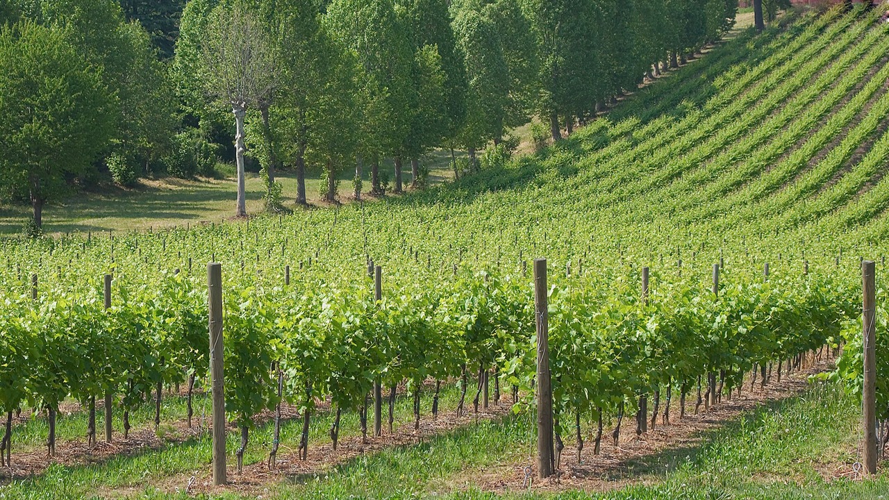 Photo of Outdoor in Conegliano