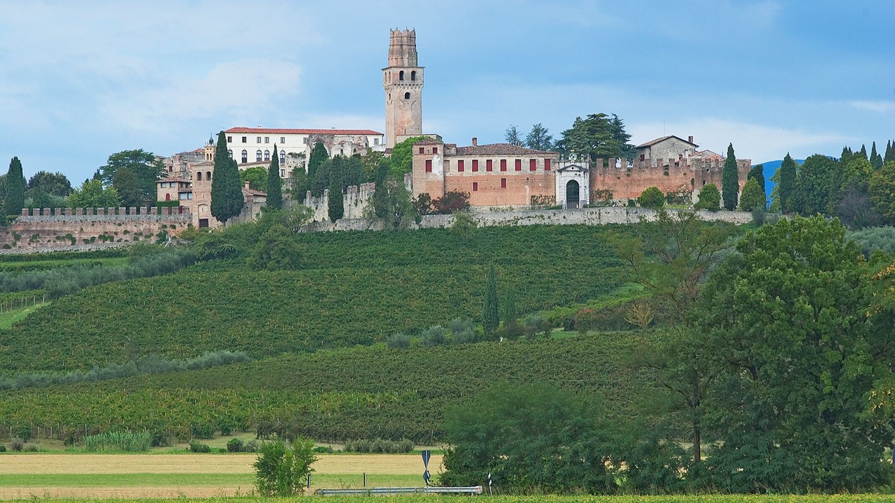Photo of Others in Conegliano
