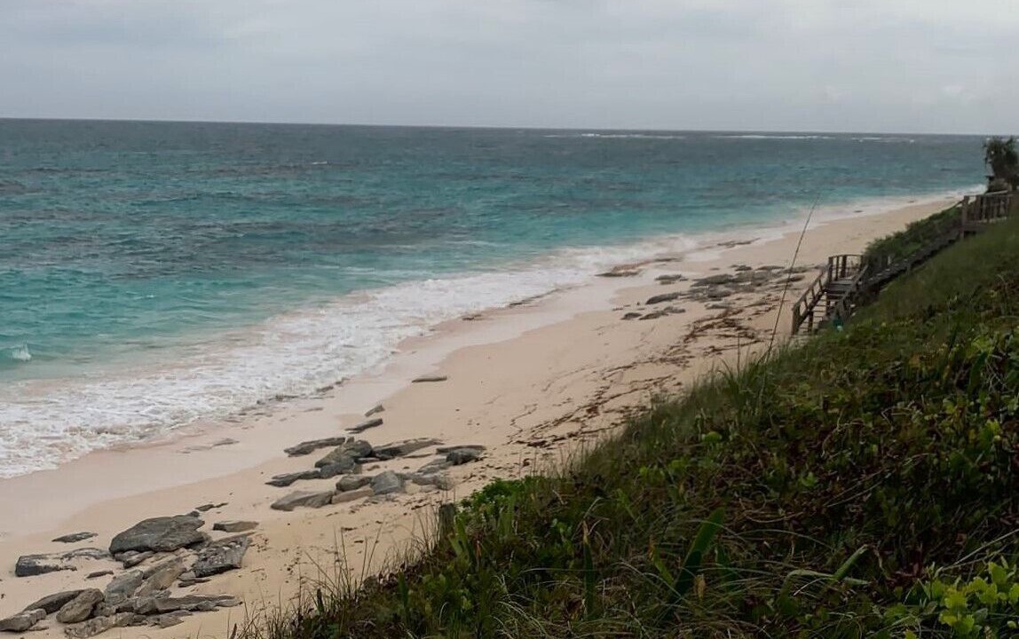 Photo of Others in North Palmetto Point