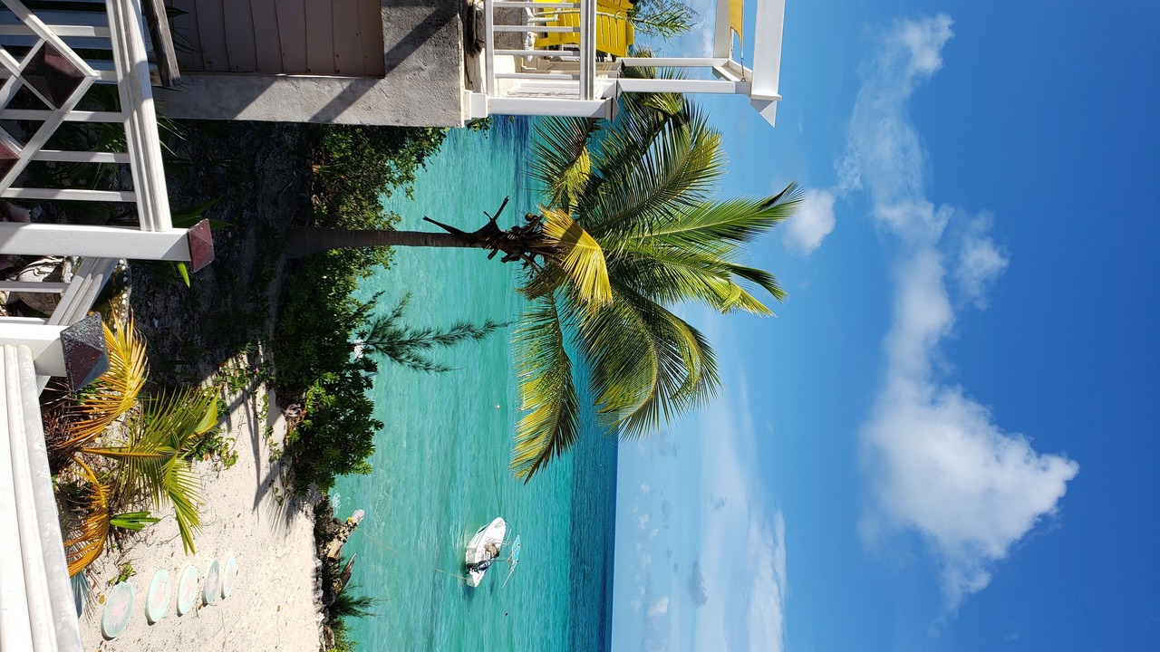Photo of Outdoor in South Palmetto Point