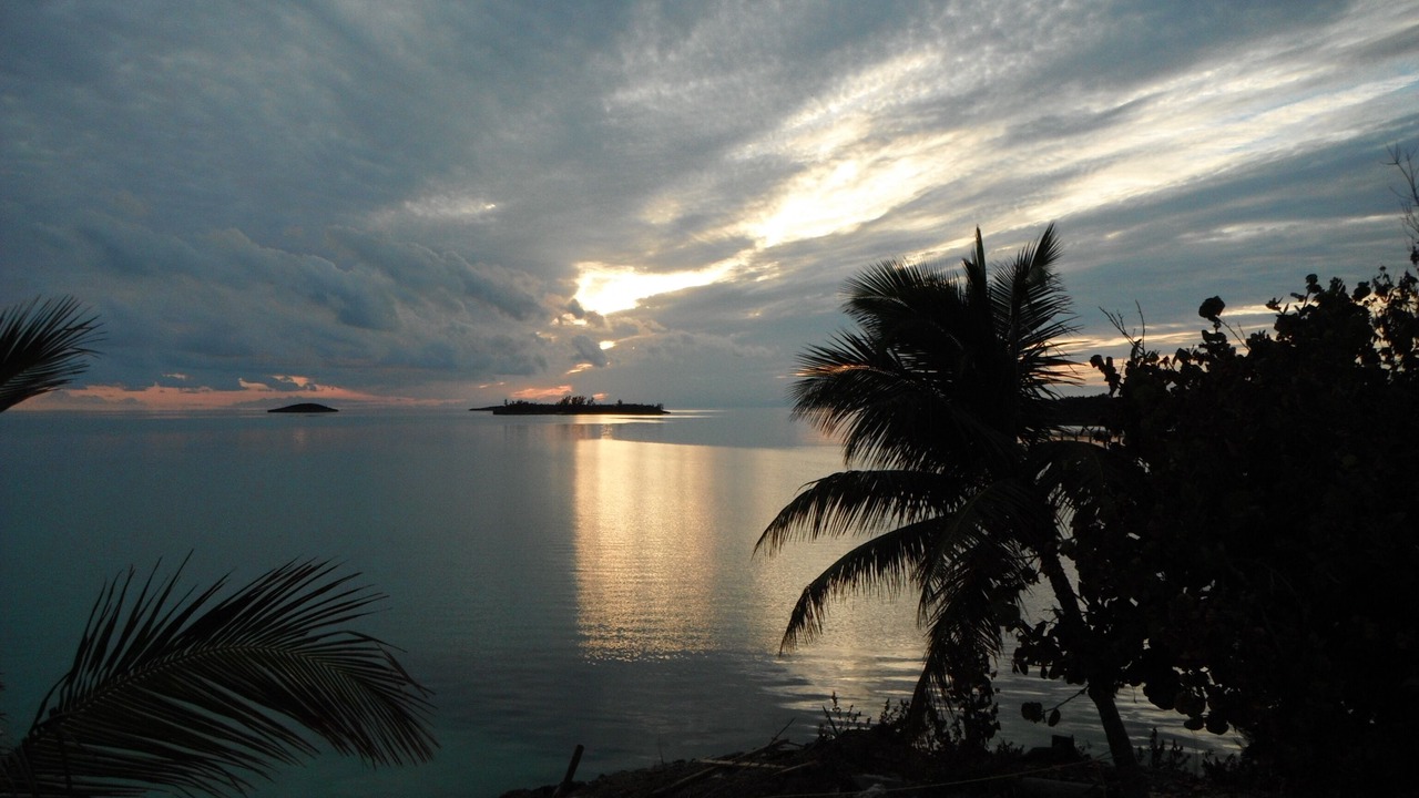 Photo of Others in South Palmetto Point