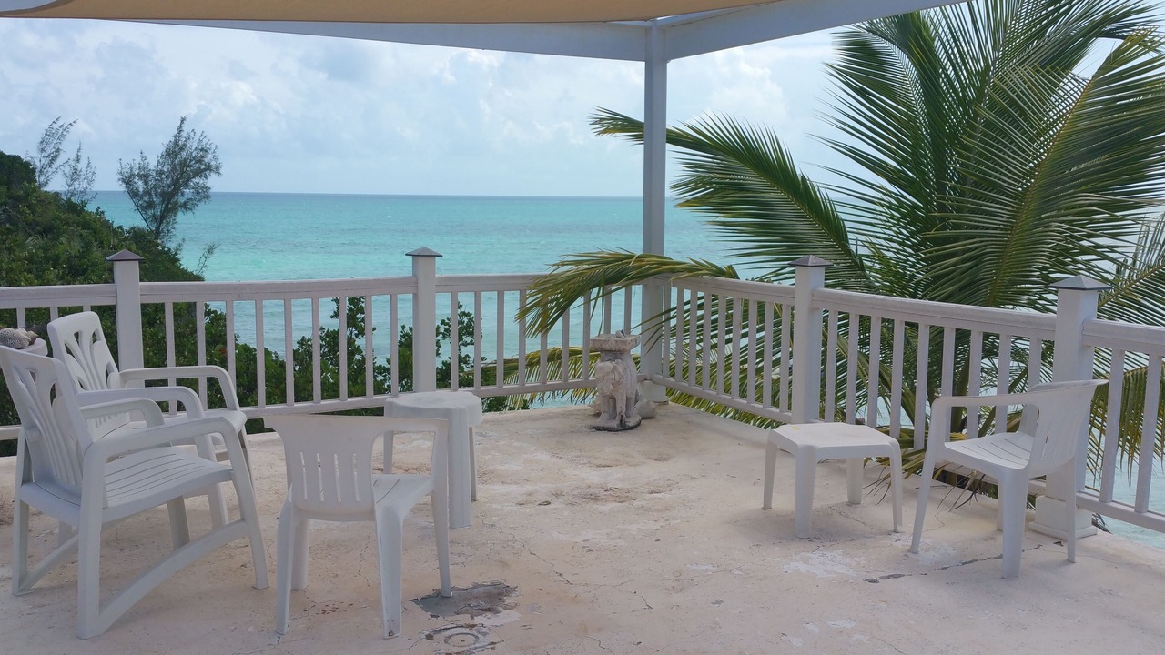Photo of Others in South Palmetto Point