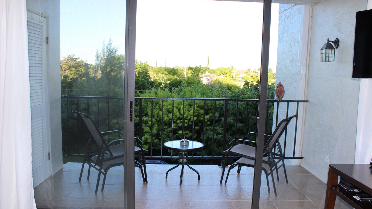 Photo of Patio Balcony in Williams Town