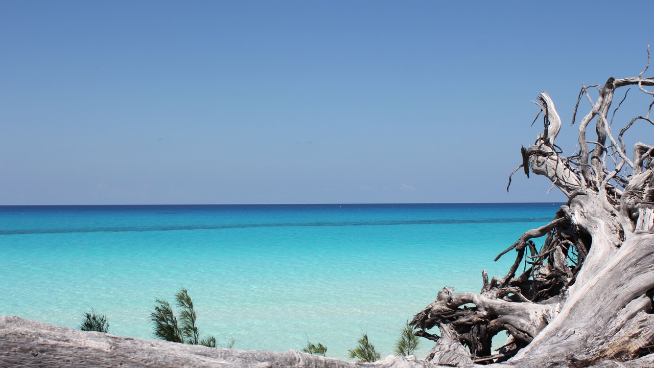 Photo of Others in North Bimini