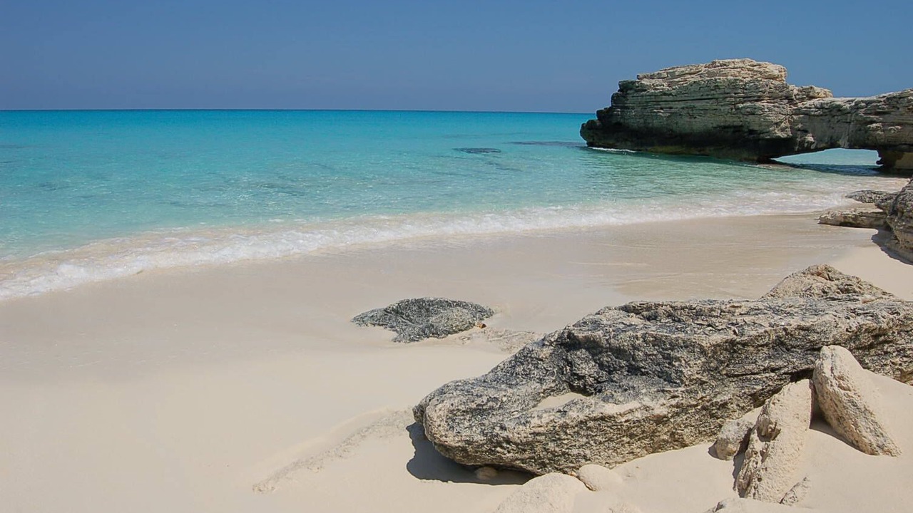Photo of Others in North Bimini