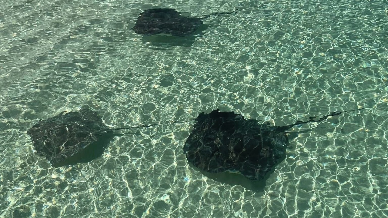 Photo of Others in Green Turtle Estates