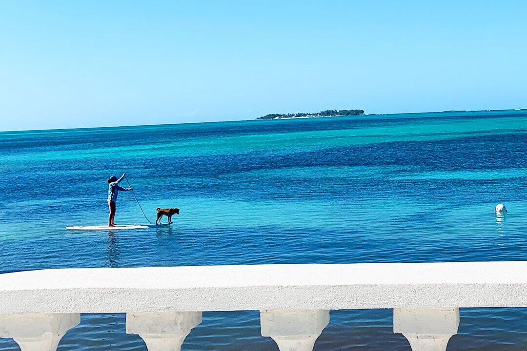 Photo of Others in Nassau