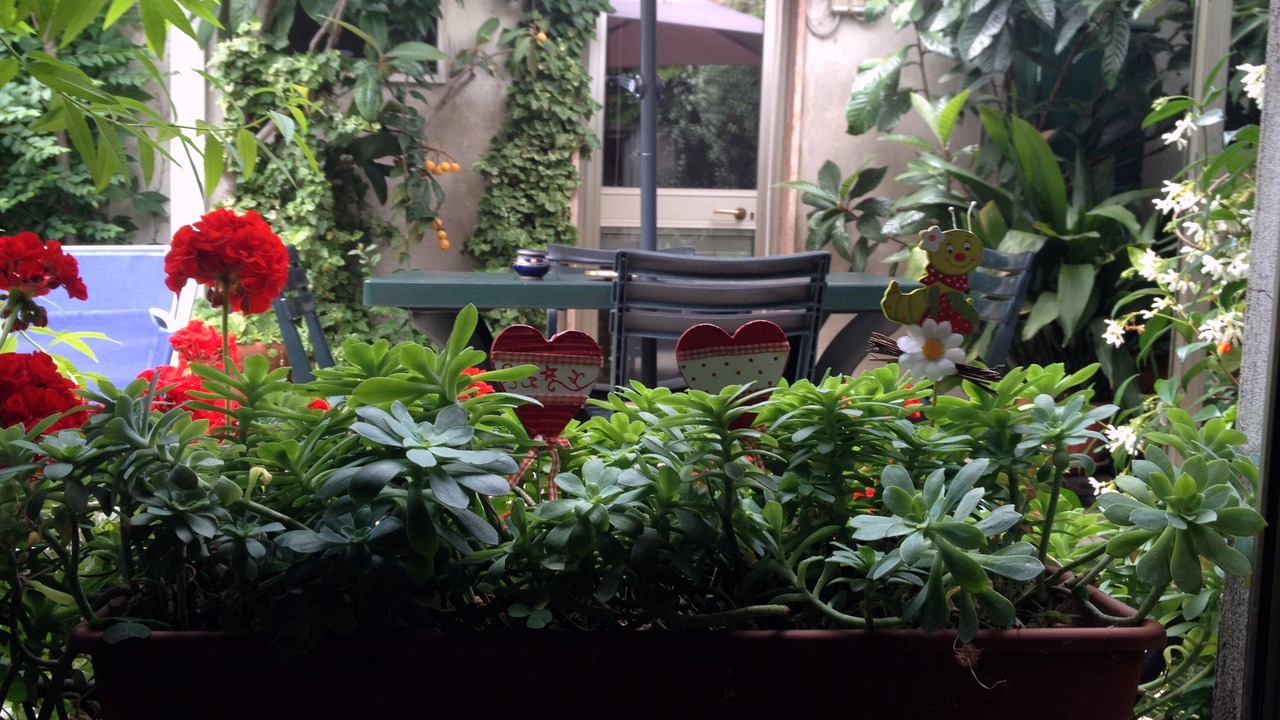 Photo of Outdoor in Cittadella