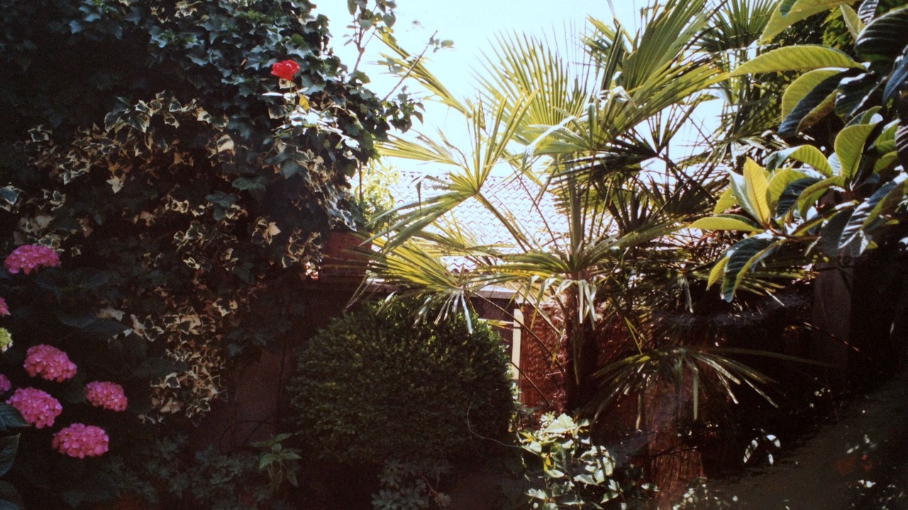 Photo of Outdoor in Cittadella