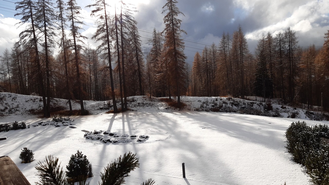 Photo of Others in Cortina d'Ampezzo
