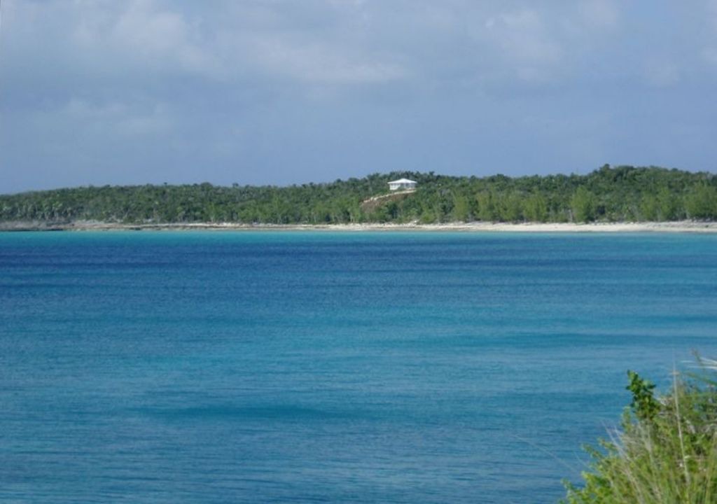Photo of Others in South Palmetto Point
