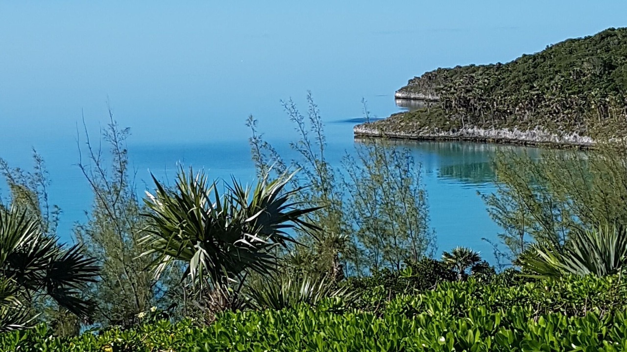 Photo of Outdoor in South Palmetto Point