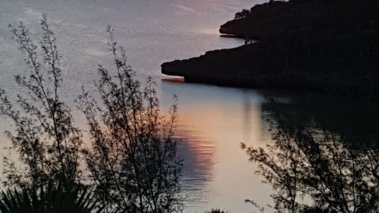 Photo of Others in South Palmetto Point