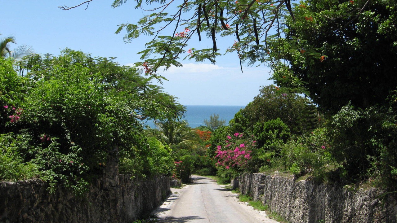 Photo of Others in South Palmetto Point