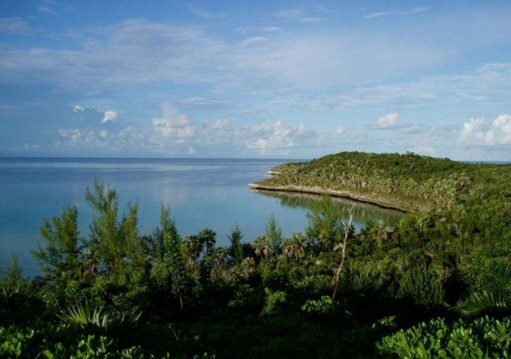 Photo of Others in South Palmetto Point