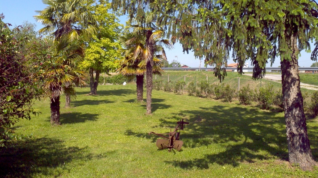Photo of Outdoor in Ca' Pirami