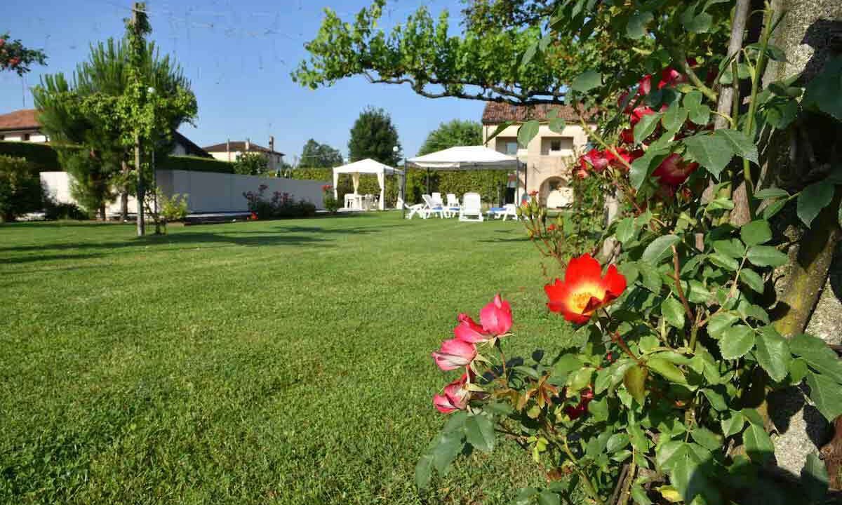 Photo of Outdoor in Cimadolmo