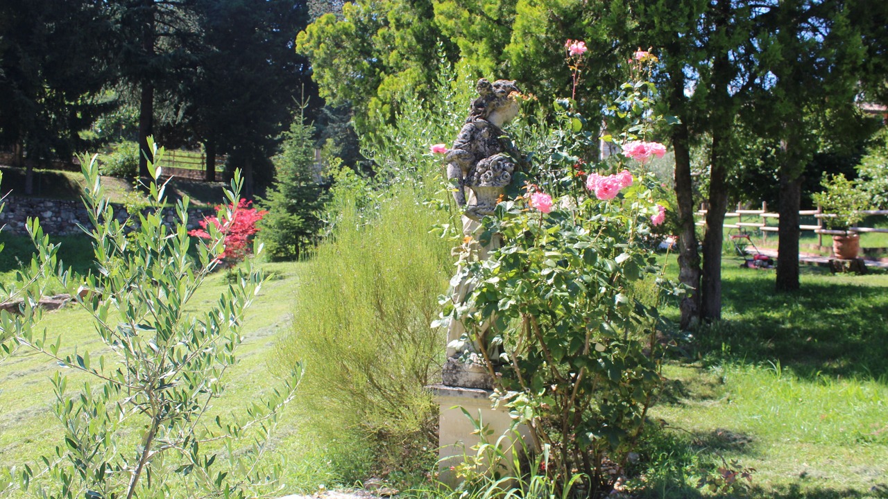 Photo of Outdoor in Costermano