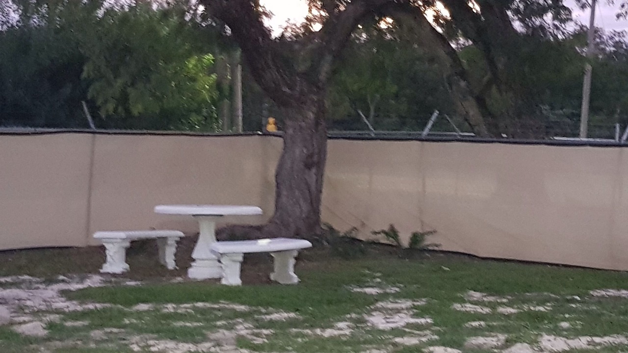 Photo of Others in Bahamas Terrace