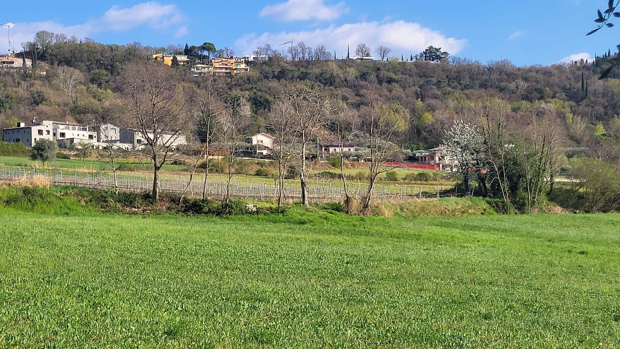 Photo of Others in Costermano