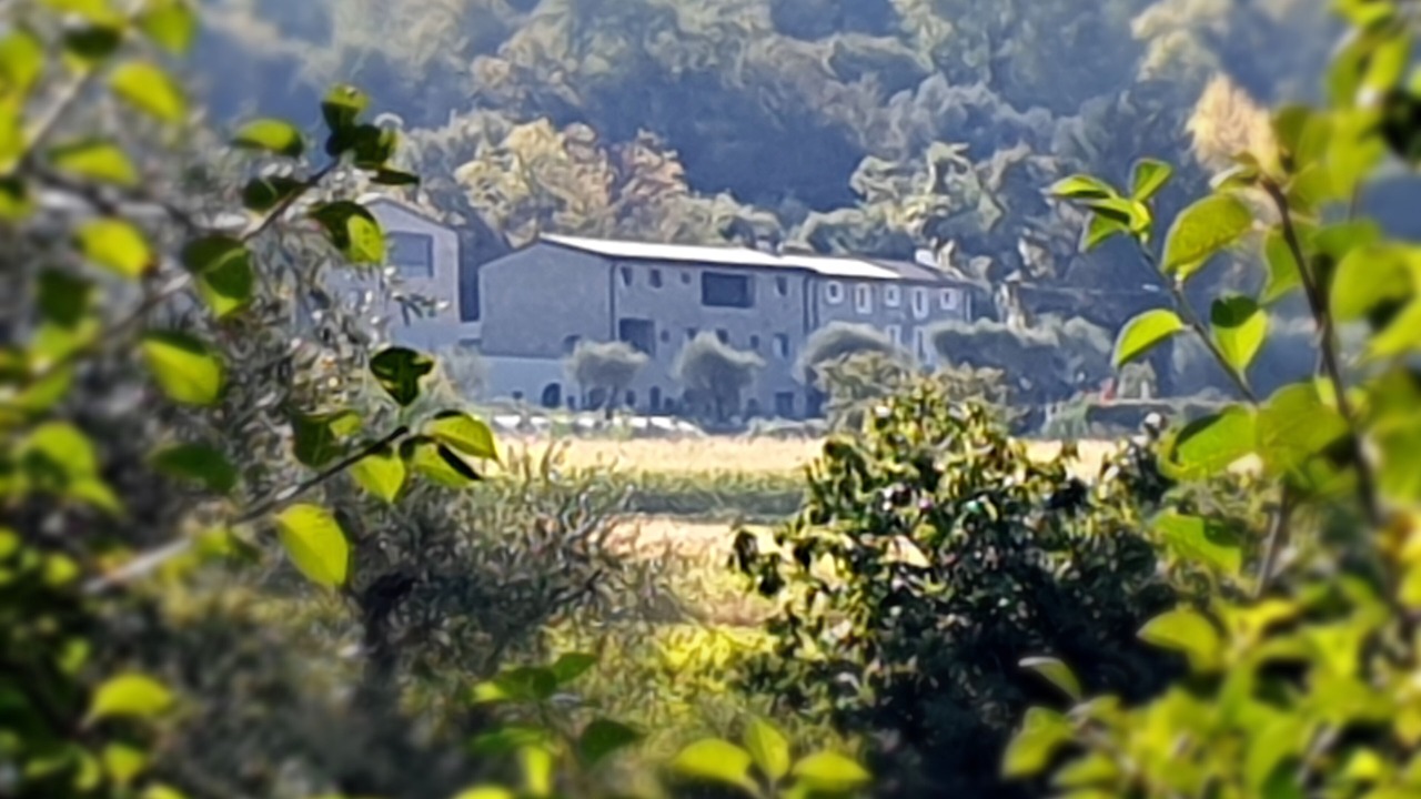 Photo of Outdoor in Costermano