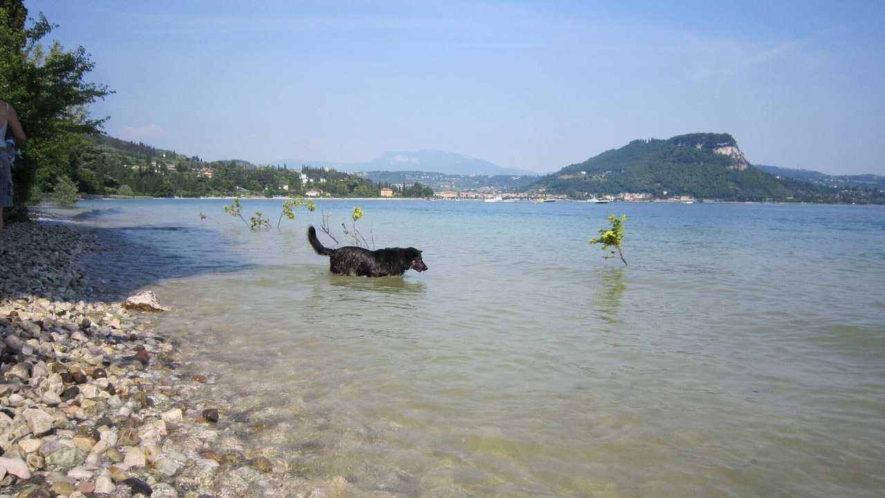 Photo of Others in Costermano