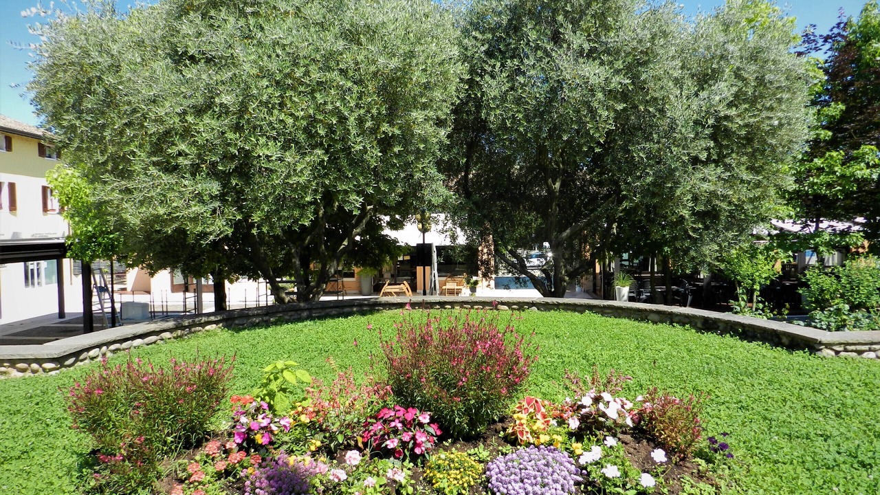Photo of Outdoor in Pacengo