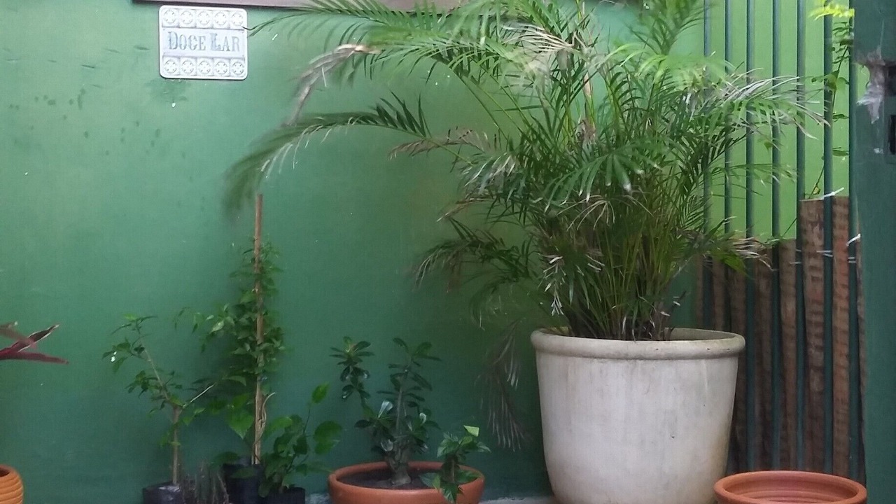 Photo of Outdoor in Ferradurinha