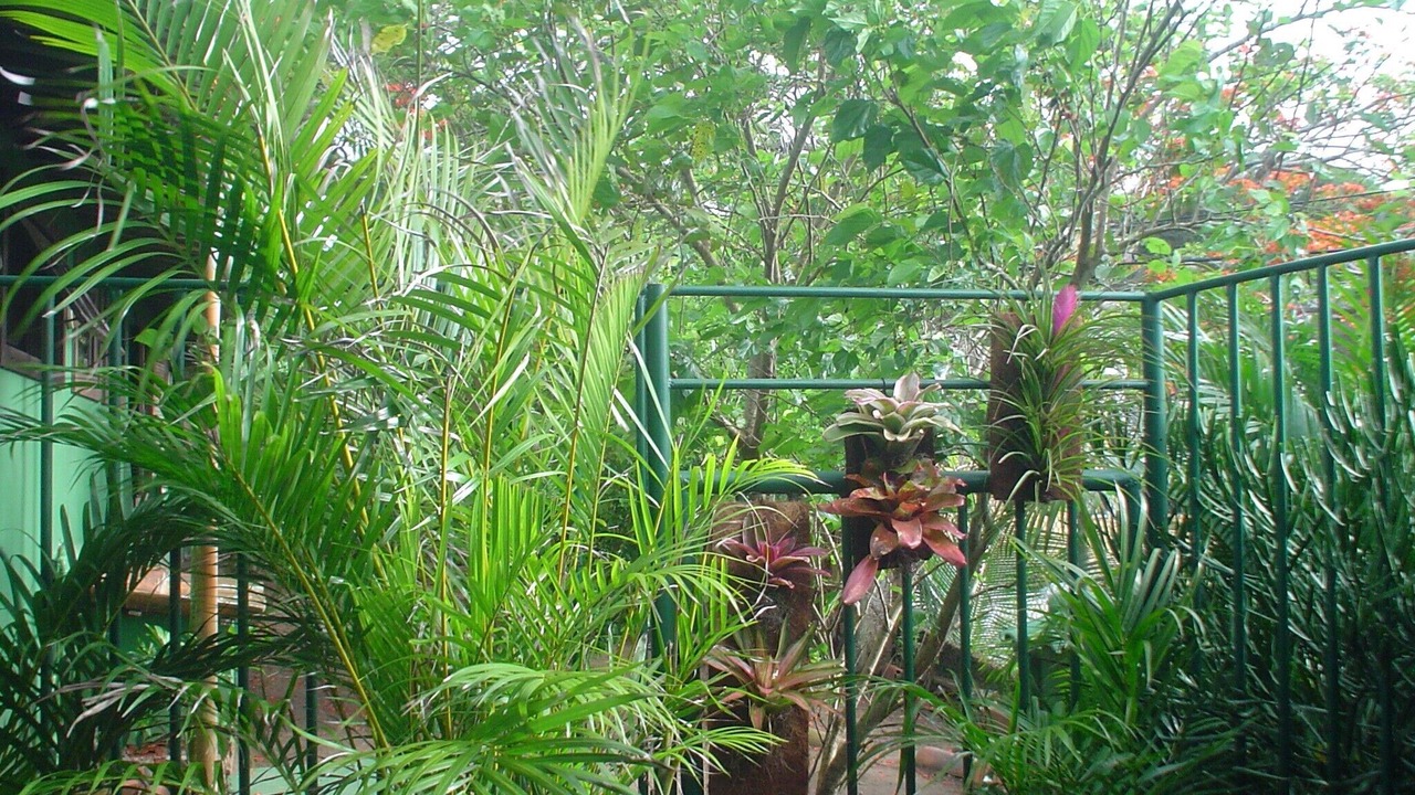 Photo of Outdoor in Ferradurinha