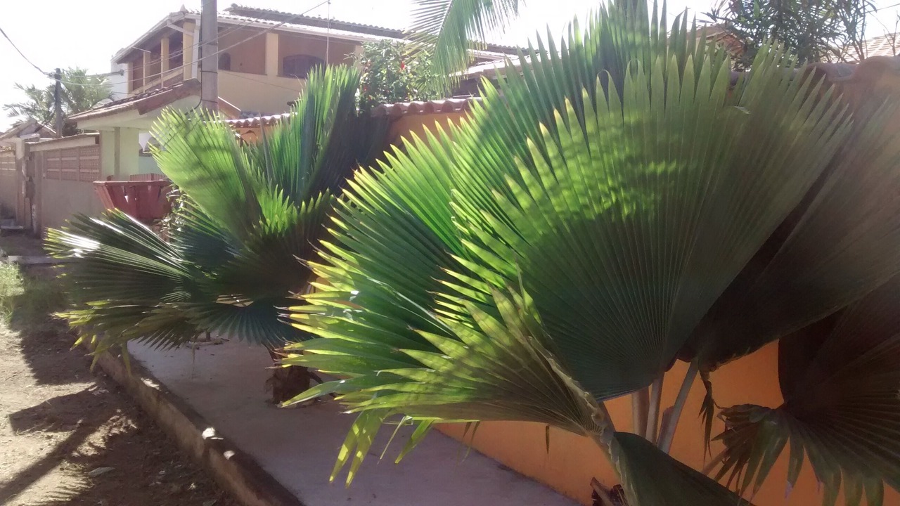 Photo of Outdoor in Tamoios