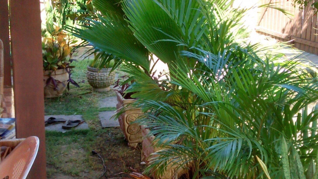 Photo of Outdoor in Tamoios